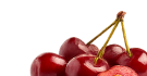 Tart Cherry 10:1