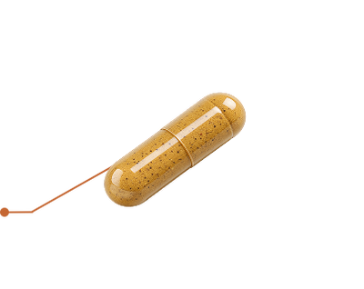 Quercetin 95%